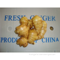 /msite/products/detail/productid/57057013/id/573198.html